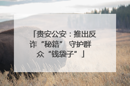 贵安公安：推出反诈“秘籍” 守护群众“钱袋子”