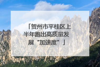 贺州市平桂区上半年跑出高质量发展“加速度”