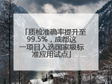 质检准确率提升至99.5%，成都这一项目入选国家级标准应用试点