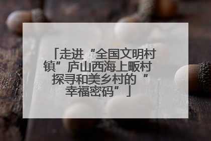 走进“全国文明村镇”庐山西海上畈村 探寻和美乡村的“幸福密码”