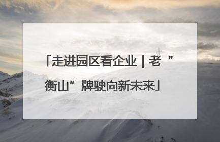 走进园区看企业｜老“衡山”牌驶向新未来