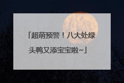 超萌预警！八大处绿头鸭又添宝宝啦~