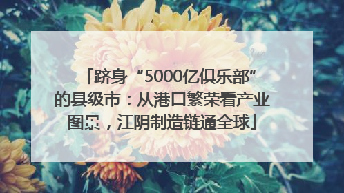 跻身“5000亿俱乐部”的县级市：从港口繁荣看产业图景，江阴制造链通全球