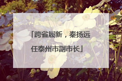 跨省履新，秦扬远任泰州市副市长