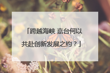 跨越海峡 嘉台何以共赴创新发展之约？