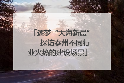 逐梦“大海新晨”——探访泰州不同行业火热的建设场景
