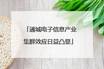 通城电子信息产业集群效应日益凸显
