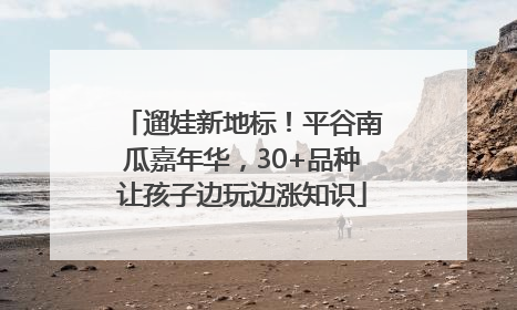 遛娃新地标！平谷南瓜嘉年华，30+品种让孩子边玩边涨知识