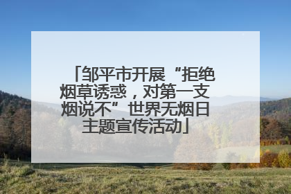 邹平市开展“拒绝烟草诱惑，对第一支烟说不”世界无烟日主题宣传活动