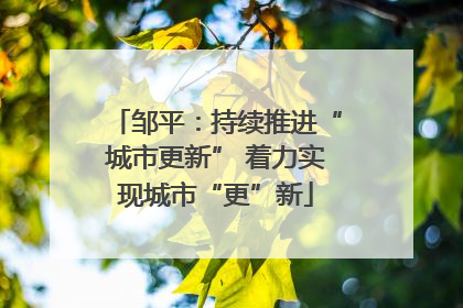 邹平：持续推进“城市更新” 着力实现城市“更”新