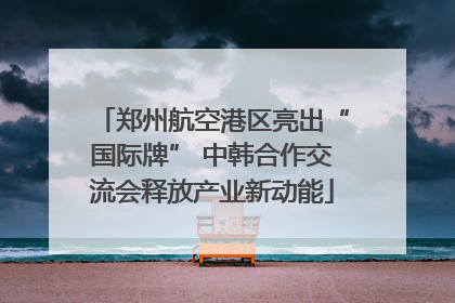 郑州航空港区亮出“国际牌” 中韩合作交流会释放产业新动能