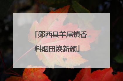 郧西县羊尾镇香料烟田焕新颜