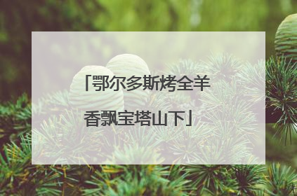 鄂尔多斯烤全羊香飘宝塔山下