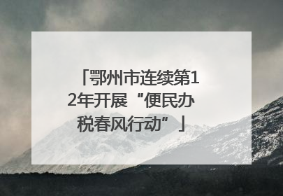 鄂州市连续第12年开展“便民办税春风行动”