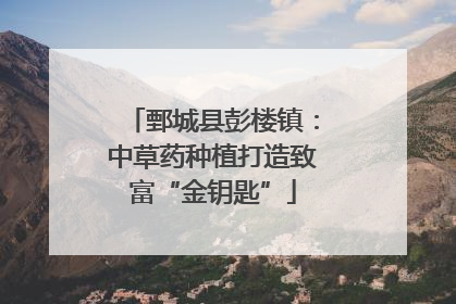 鄄城县彭楼镇：中草药种植打造致富“金钥匙”
