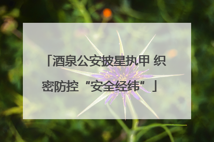 酒泉公安披星执甲 织密防控“安全经纬”