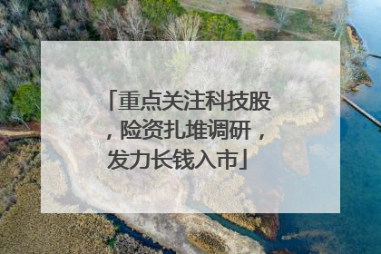 重点关注科技股，险资扎堆调研，发力长钱入市