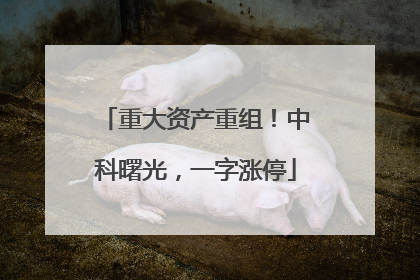 重大资产重组！中科曙光，一字涨停