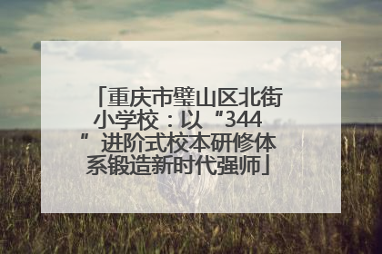 重庆市璧山区北街小学校：以“344”进阶式校本研修体系锻造新时代强师