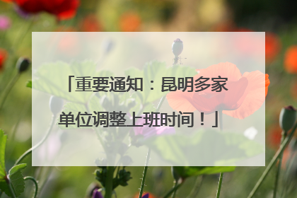 重要通知：昆明多家单位调整上班时间！