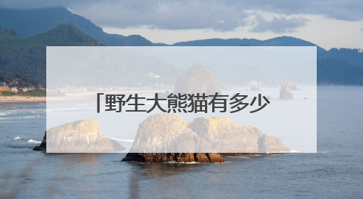 野生大熊猫有多少？种群如何分布？科研团队实地探秘