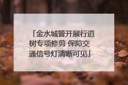 金水城管开展行道树专项修剪 保障交通信号灯清晰可见