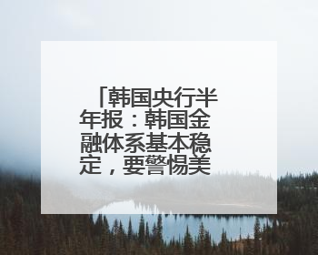 韩国央行半年报：韩国金融体系基本稳定，要警惕美国关税风险