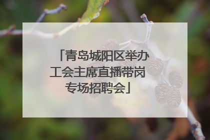 青岛城阳区举办工会主席直播带岗专场招聘会