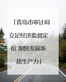 青岛市审计局立足经济监督定位 加快发展新质生产力