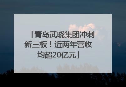 青岛武晓集团冲刺新三板！近两年营收均超20亿元