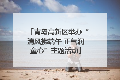 青岛高新区举办“清风拂端午 正气润童心”主题活动