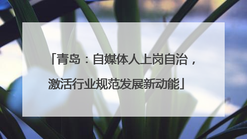 青岛：自媒体人上岗自治，激活行业规范发展新动能