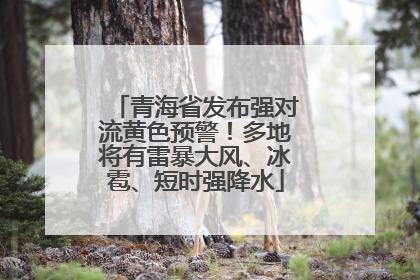 青海省发布强对流黄色预警！多地将有雷暴大风、冰雹、短时强降水