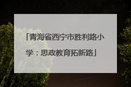 青海省西宁市胜利路小学：思政教育拓新路