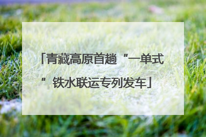 青藏高原首趟“一单式”铁水联运专列发车