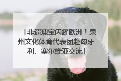 非遗瑰宝闪耀欧洲！泉州文化体育代表团赴匈牙利、塞尔维亚交流