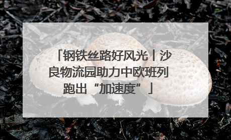 钢铁丝路好风光丨沙良物流园助力中欧班列跑出“加速度”