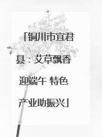 铜川市宜君县：艾草飘香迎端午 特色产业助振兴