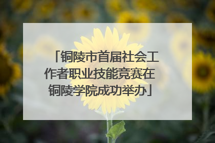 铜陵市首届社会工作者职业技能竞赛在铜陵学院成功举办