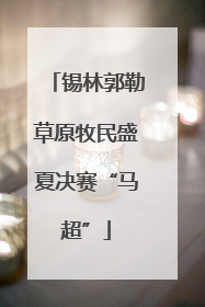 锡林郭勒草原牧民盛夏决赛“马超”