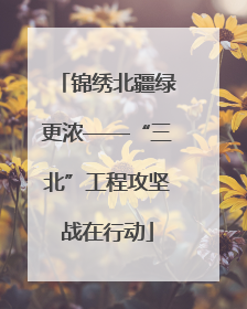锦绣北疆绿更浓——“三北”工程攻坚战在行动