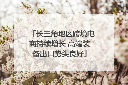 长三角地区跨境电商持续增长 高端装备出口势头良好
