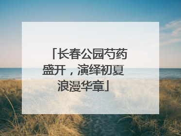 长春公园芍药盛开，演绎初夏浪漫华章