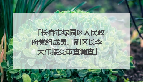 长春市绿园区人民政府党组成员、副区长李大伟接受审查调查