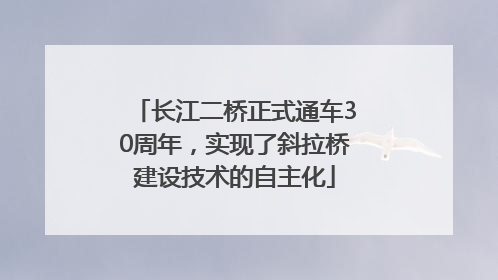 长江二桥正式通车30周年，实现了斜拉桥建设技术的自主化