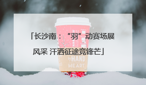 长沙南：“羽”动赛场展风采 汗洒征途竞锋芒