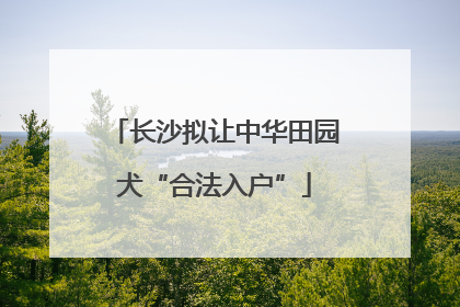 长沙拟让中华田园犬“合法入户”