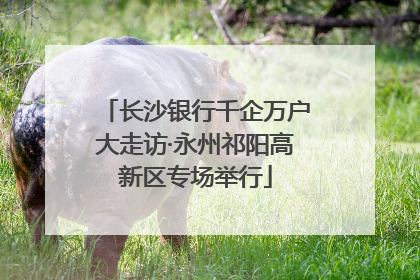 长沙银行千企万户大走访·永州祁阳高新区专场举行