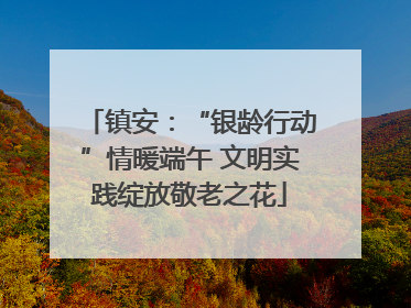 镇安：“银龄行动”情暖端午 文明实践绽放敬老之花