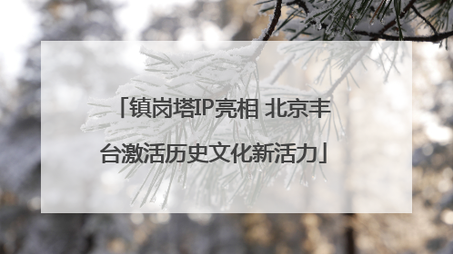 镇岗塔IP亮相 北京丰台激活历史文化新活力